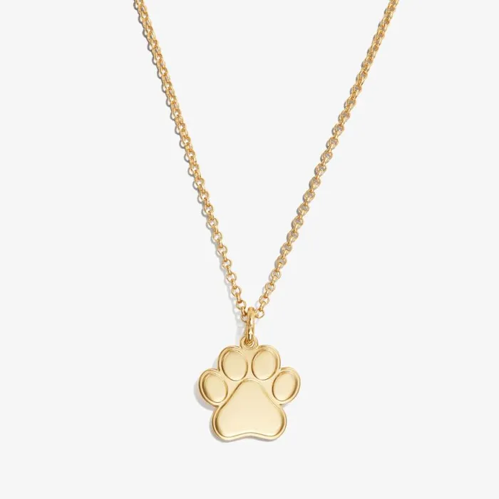 Paw Print Charm Necklace 21039039 Silver Women Alex And Ani Animals