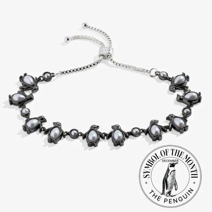 Penguin Bolo Bracelet Two Tone Women Alex And Ani Bracelets