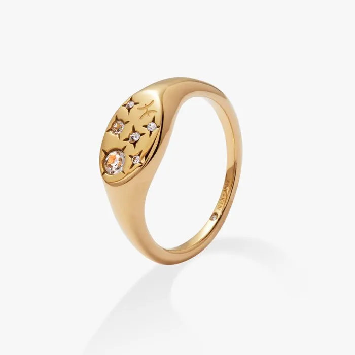 Pisces Zodiac Ring Stainless Steel Gold Women Alex And Ani Birthday