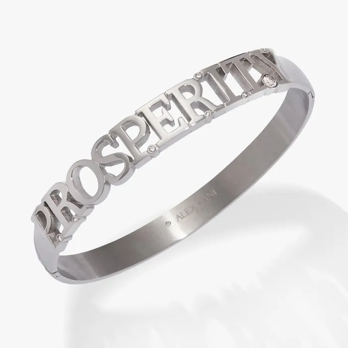 Prosperity Hinge Bracelet Stainless Steel Silver Women Alex And Ani Luck Prosperity Prosperity Hinge Bracelet Stainless Steel Silver Women Alex And Ani Luck Prosperity