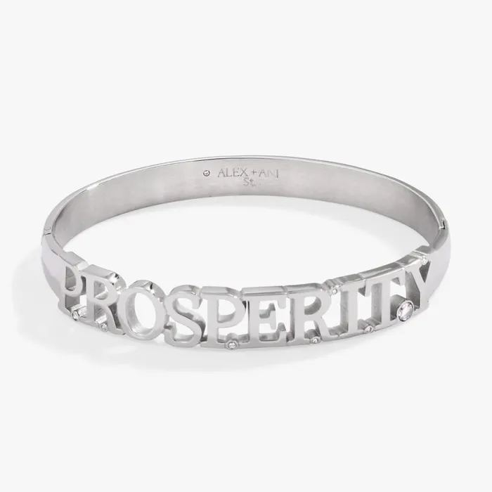 Prosperity Hinge Bracelet Stainless Steel Silver Women Alex And Ani Luck Prosperity Prosperity Hinge Bracelet Stainless Steel Silver Women Alex And Ani Luck Prosperity