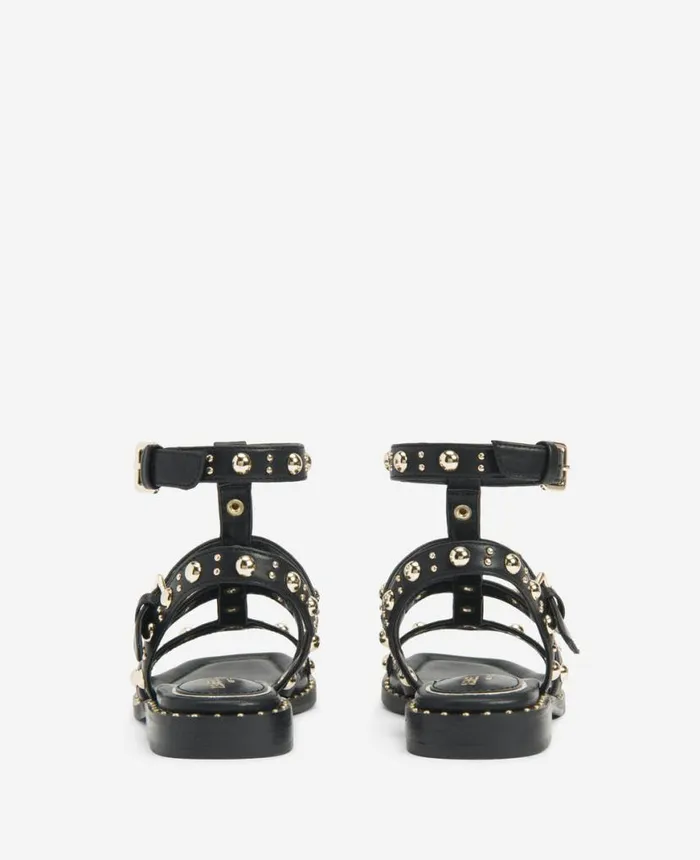 Sandals and Wedges Women Kenneth Cole Ruby Studded Gladiator Flat Sandal Black Sandals and Wedges Women Kenneth Cole Ruby Studded Gladiator Flat Sandal Black