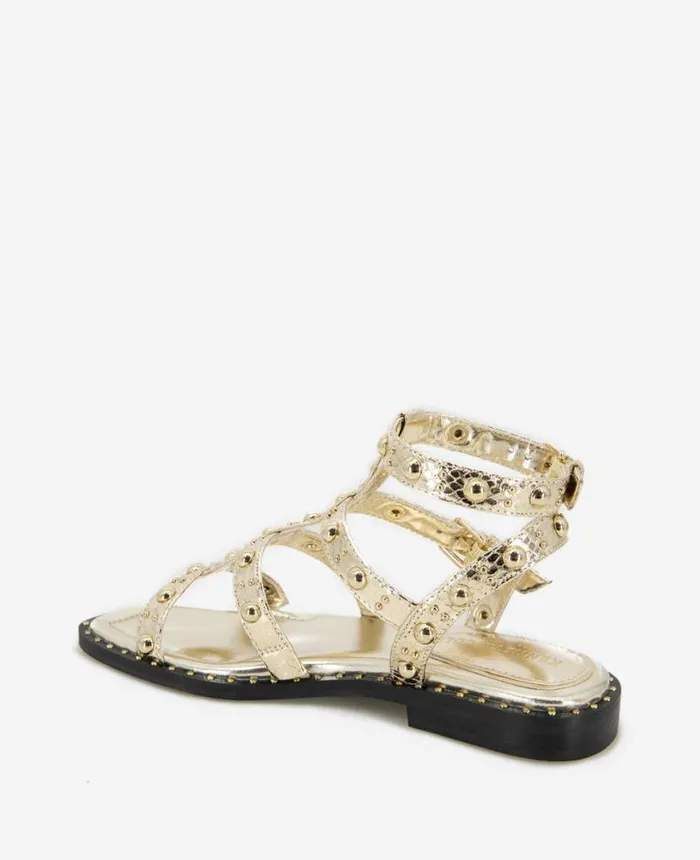 Sandals and Wedges Women Kenneth Cole Ruby Studded Gladiator Flat Sandal Gold Sandals and Wedges Women Kenneth Cole Ruby Studded Gladiator Flat Sandal Gold