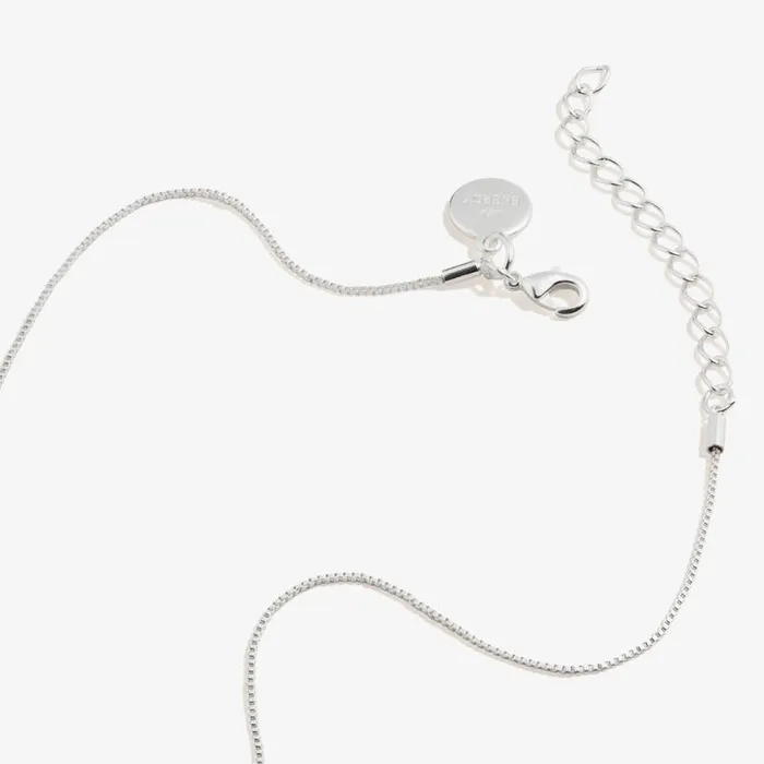 Scarlet Heart Necklace January Birthstone Silver Women Alex And Ani Growth New Beginnings Scarlet Heart Necklace January Birthstone Silver Women Alex And Ani Growth New Beginnings