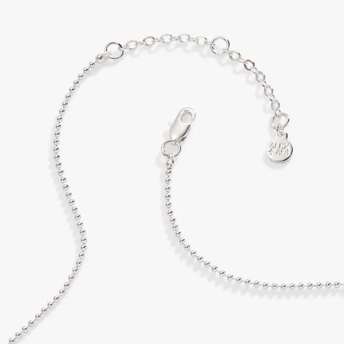 Scorpio Zodiac DoubleSided Charm Necklace Silver Women Alex And Ani Necklaces Scorpio Zodiac DoubleSided Charm Necklace Silver Women Alex And Ani Necklaces