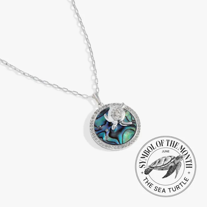 Sea Turtle And Abalone Adjustable Necklace Silver Women Alex And Ani Necklaces Sea Turtle And Abalone Adjustable Necklace Silver Women Alex And Ani Necklaces