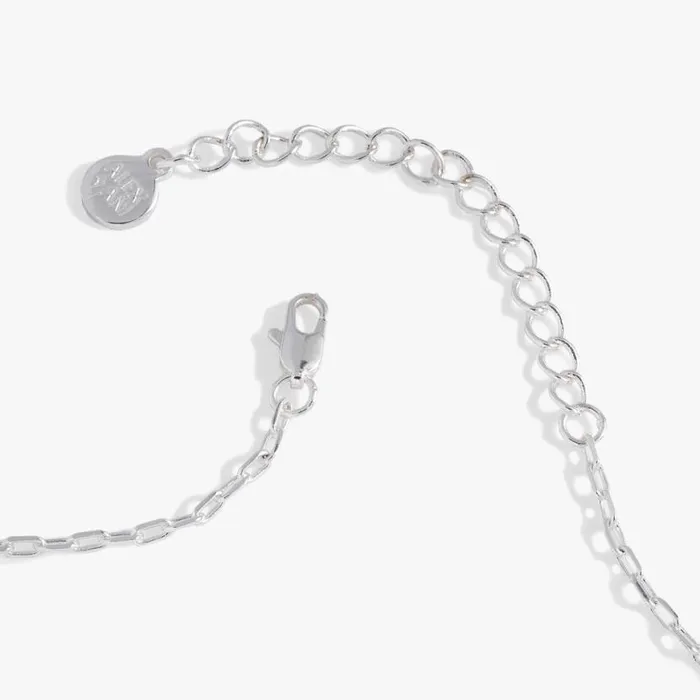 Sea Turtle And Abalone Adjustable Necklace Silver Women Alex And Ani Necklaces Sea Turtle And Abalone Adjustable Necklace Silver Women Alex And Ani Necklaces