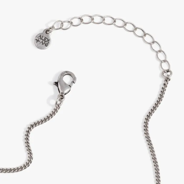 Sodalite Multicharm Necklace Antique Silver Women Alex And Ani Strength Protection Sodalite Multicharm Necklace Antique Silver Women Alex And Ani Strength Protection