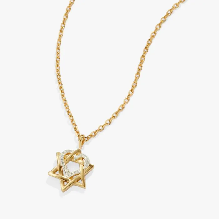 Star Of David Heart Necklace 14kt Gold Plated Two Tone Precious Women Alex And Ani Heart Star Of David Heart Necklace 14kt Gold Plated Two Tone Precious Women Alex And Ani Heart