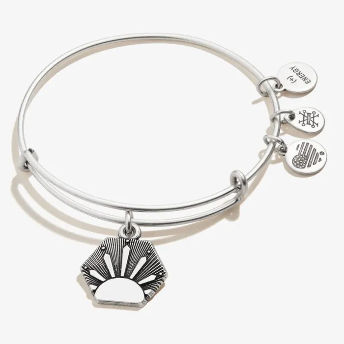Sun Charm Bangle Bracelet Rafaelian Silver Women Alex And Ani Iconic Alex And Ani Sun Charm Bangle Bracelet Rafaelian Silver Women Alex And Ani Iconic Alex And Ani