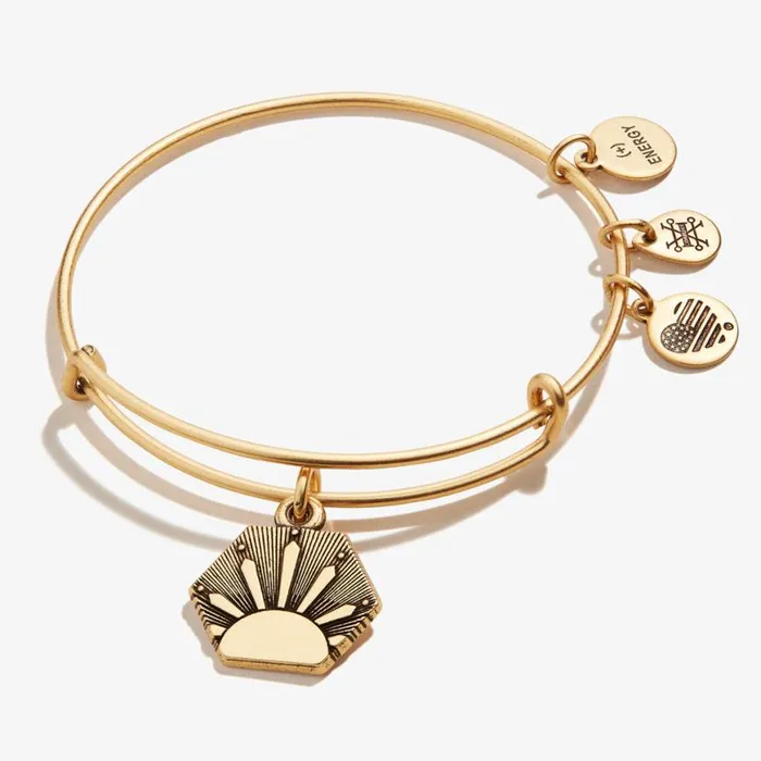 Sun Charm Bangle Bracelet Rafaelian Silver Women Alex And Ani Iconic Alex And Ani Sun Charm Bangle Bracelet Rafaelian Silver Women Alex And Ani Iconic Alex And Ani