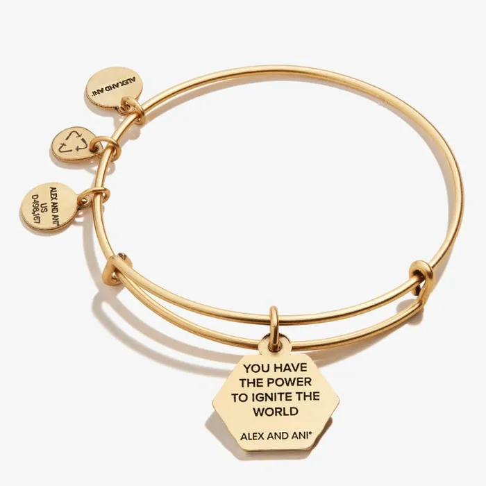 Sun Charm Bangle Bracelet Rafaelian Silver Women Alex And Ani Iconic Alex And Ani Sun Charm Bangle Bracelet Rafaelian Silver Women Alex And Ani Iconic Alex And Ani