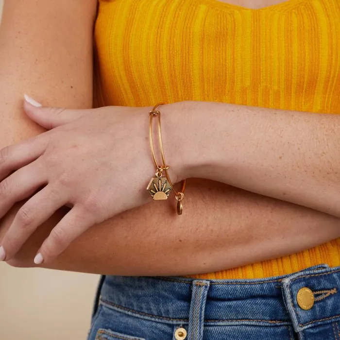 Sun Charm Bangle Bracelet Rafaelian Silver Women Alex And Ani Iconic Alex And Ani Sun Charm Bangle Bracelet Rafaelian Silver Women Alex And Ani Iconic Alex And Ani
