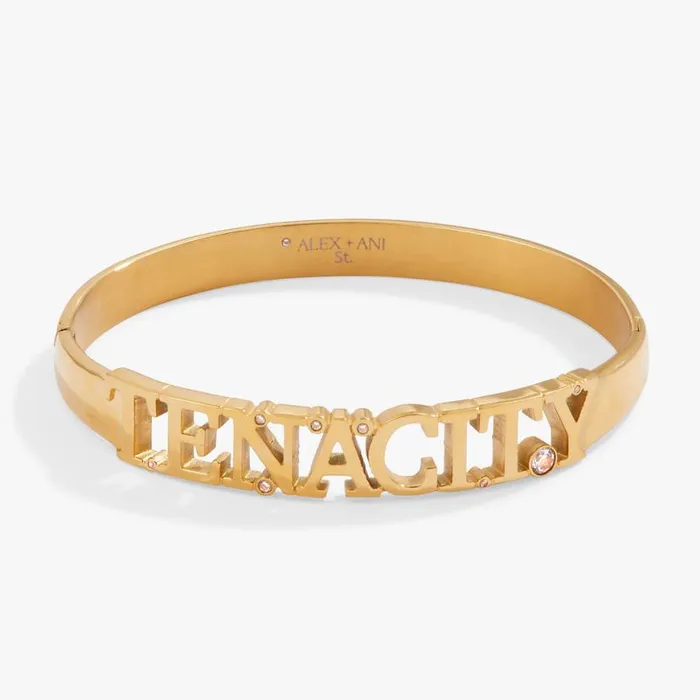 Tenacity Hinge Bracelet Stainless Steel Gold Women Alex And Ani Strength Protection Tenacity Hinge Bracelet Stainless Steel Gold Women Alex And Ani Strength Protection