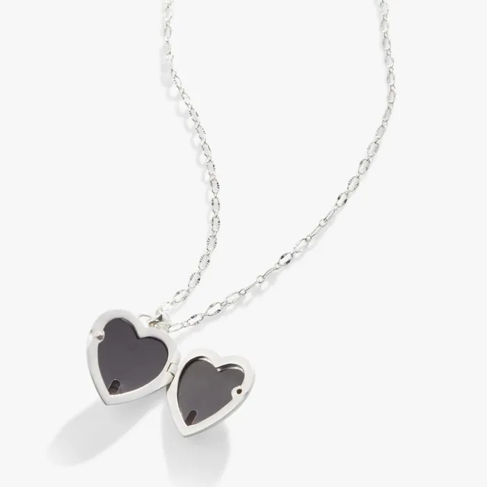Textured Heart Locket Necklace Silver Women Alex And Ani Thank You
