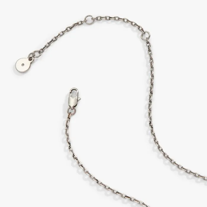 Turquoise Lariat Necklace Silver Women Alex And Ani Necklaces