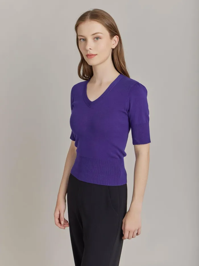 Women Agns B Tshirts and Tank Tops Purple Cotton Delha Tshirt