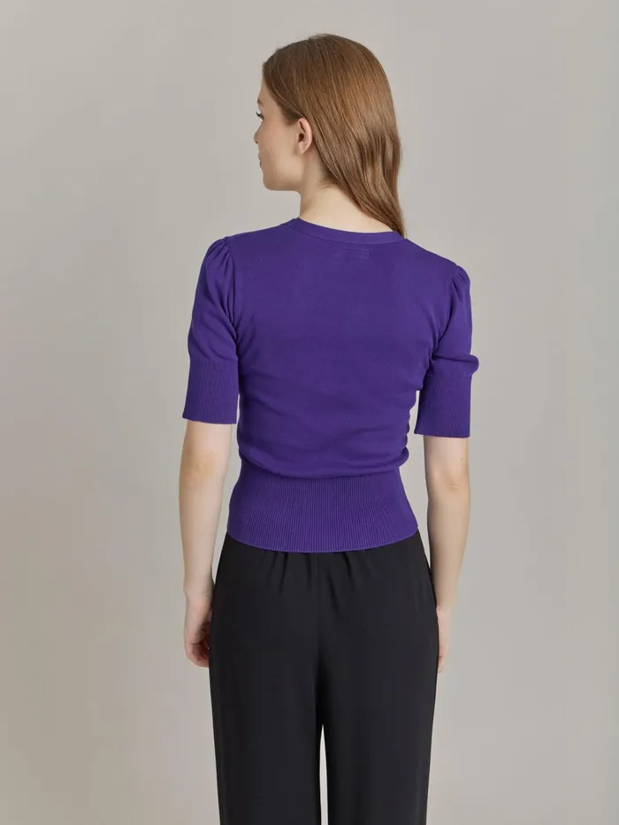 Women Agns B Tshirts and Tank Tops Purple Cotton Delha Tshirt
