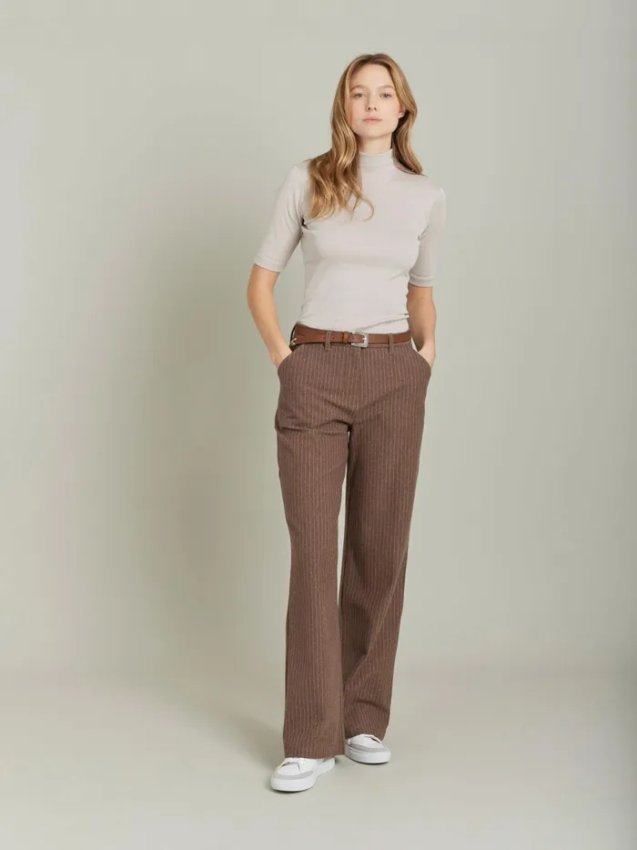 Women Agns B Trousers and Jeans Brown Polisson Pants In Striped Cotton Twill