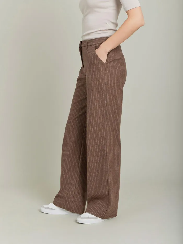 Women Agns B Trousers and Jeans Brown Polisson Pants In Striped Cotton Twill
