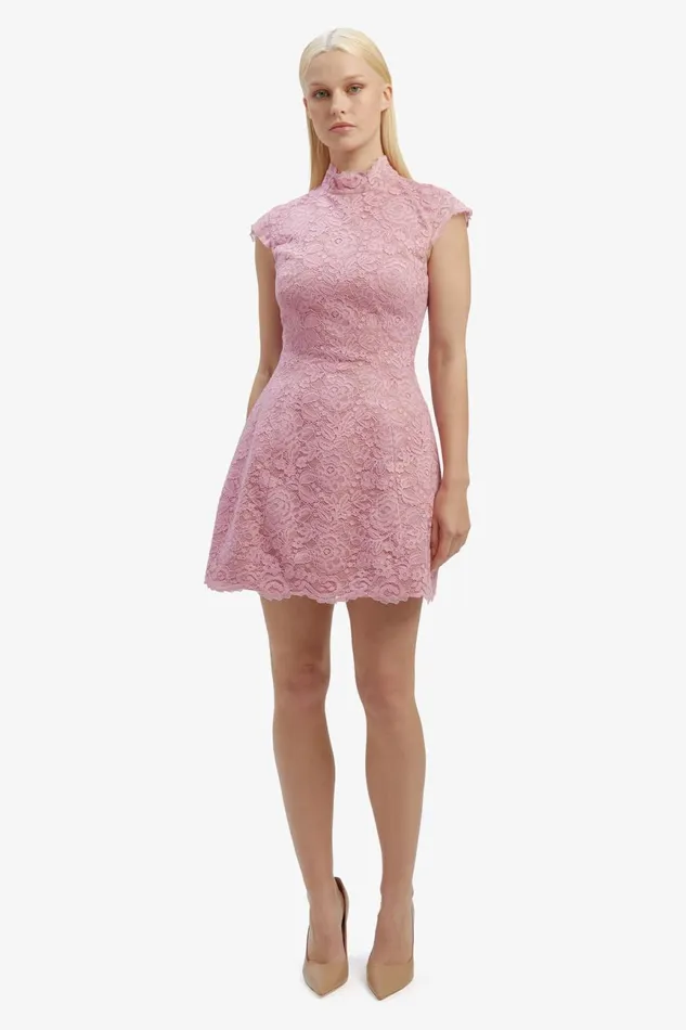Women Bardot Party Dresses Andrea Lace Mini Dress In Dusty Pink Dusty Pink Women Bardot Party Dresses Andrea Lace Mini Dress In Dusty Pink Dusty Pink
