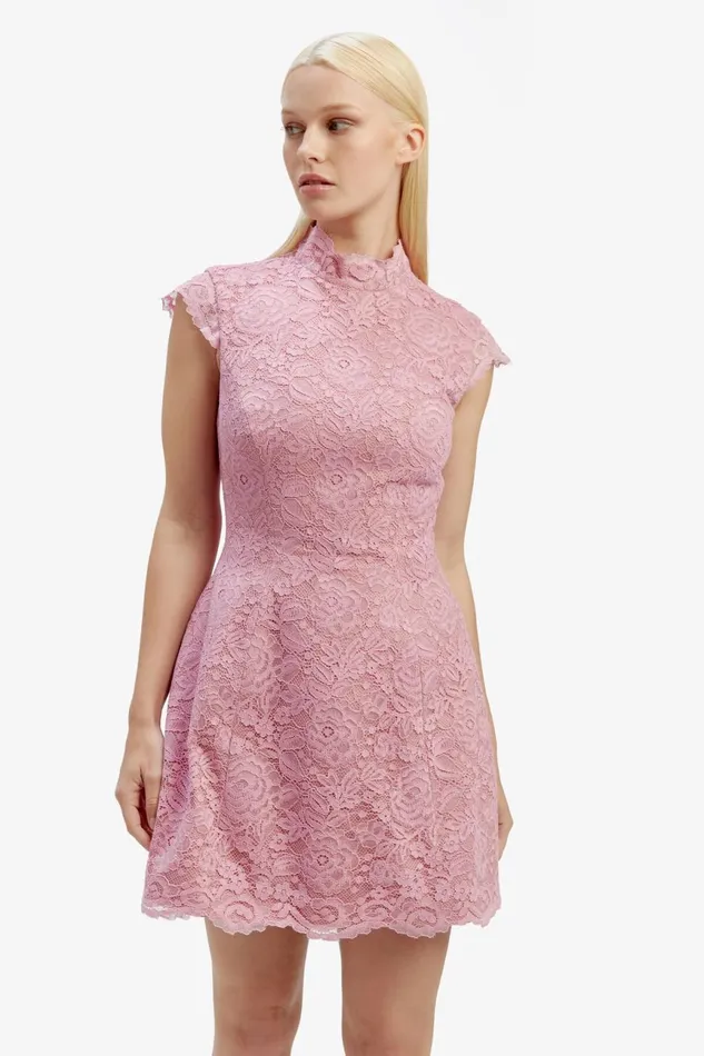 Women Bardot Party Dresses Andrea Lace Mini Dress In Dusty Pink Dusty Pink Women Bardot Party Dresses Andrea Lace Mini Dress In Dusty Pink Dusty Pink