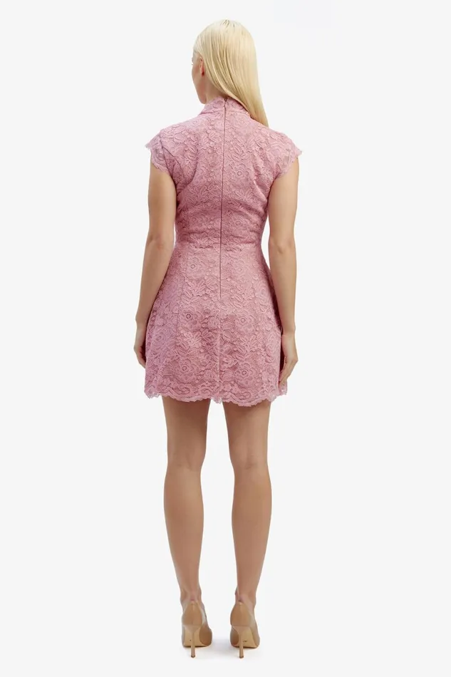 Women Bardot Party Dresses Andrea Lace Mini Dress In Dusty Pink Dusty Pink Women Bardot Party Dresses Andrea Lace Mini Dress In Dusty Pink Dusty Pink