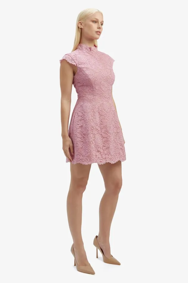 Women Bardot Party Dresses Andrea Lace Mini Dress In Dusty Pink Dusty Pink Women Bardot Party Dresses Andrea Lace Mini Dress In Dusty Pink Dusty Pink