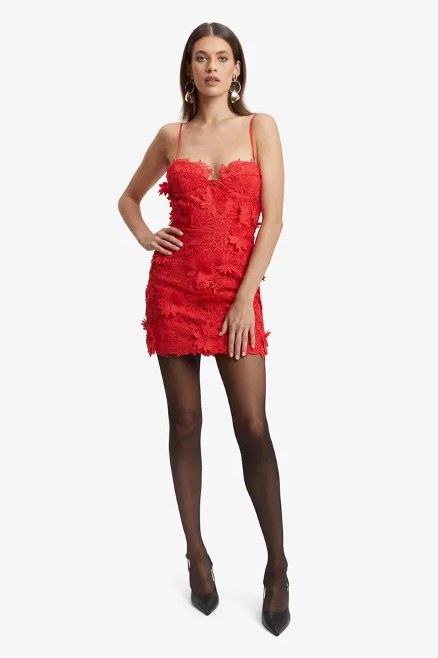 Women Bardot Party Dresses Brias Lace Mini Dress In Fire Red Fire Red Women Bardot Party Dresses Brias Lace Mini Dress In Fire Red Fire Red