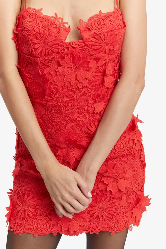 Women Bardot Party Dresses Brias Lace Mini Dress In Fire Red Fire Red Women Bardot Party Dresses Brias Lace Mini Dress In Fire Red Fire Red