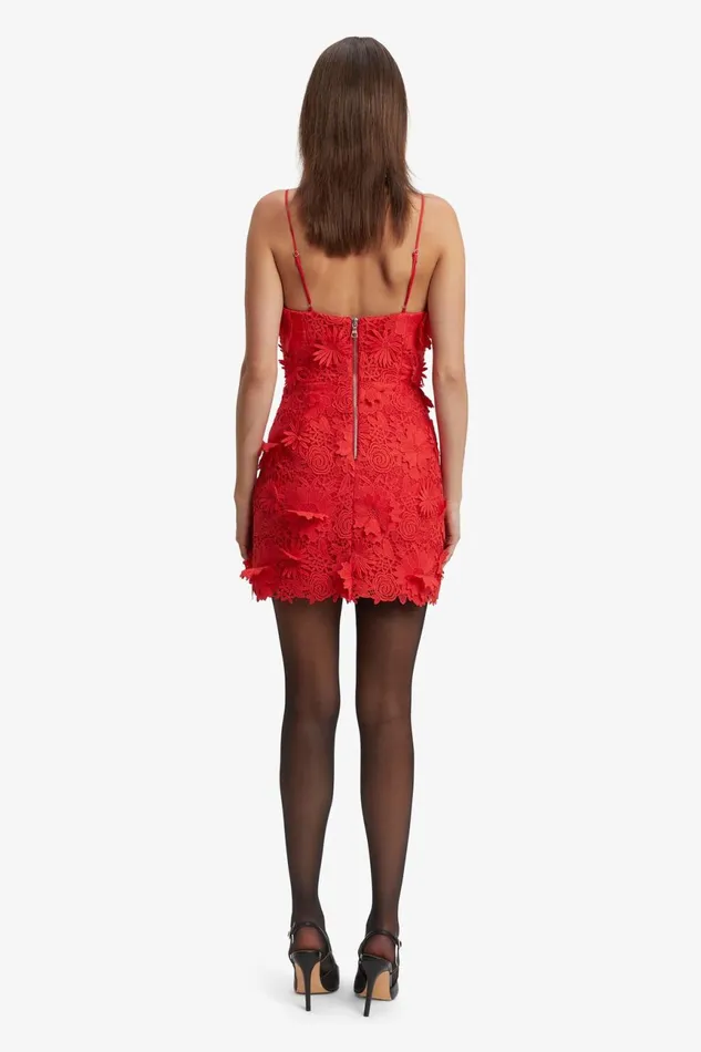 Women Bardot Party Dresses Brias Lace Mini Dress In Fire Red Fire Red Women Bardot Party Dresses Brias Lace Mini Dress In Fire Red Fire Red