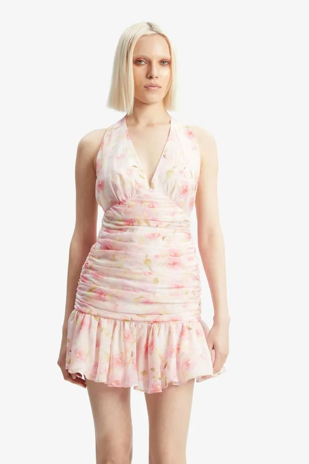 Women Bardot Party Dresses Mave Halter Neck Mini Dress In Pink Flora Pink Flora Women Bardot Party Dresses Mave Halter Neck Mini Dress In Pink Flora Pink Flora