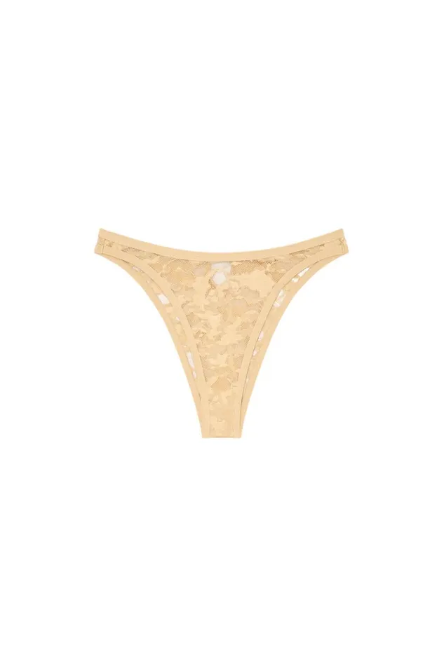 Women Diesel Underwear and Socks UFPNDOVALPUNCHYBRIEF Light Brown Women Diesel Underwear and Socks UFPNDOVALPUNCHYBRIEF Light Brown