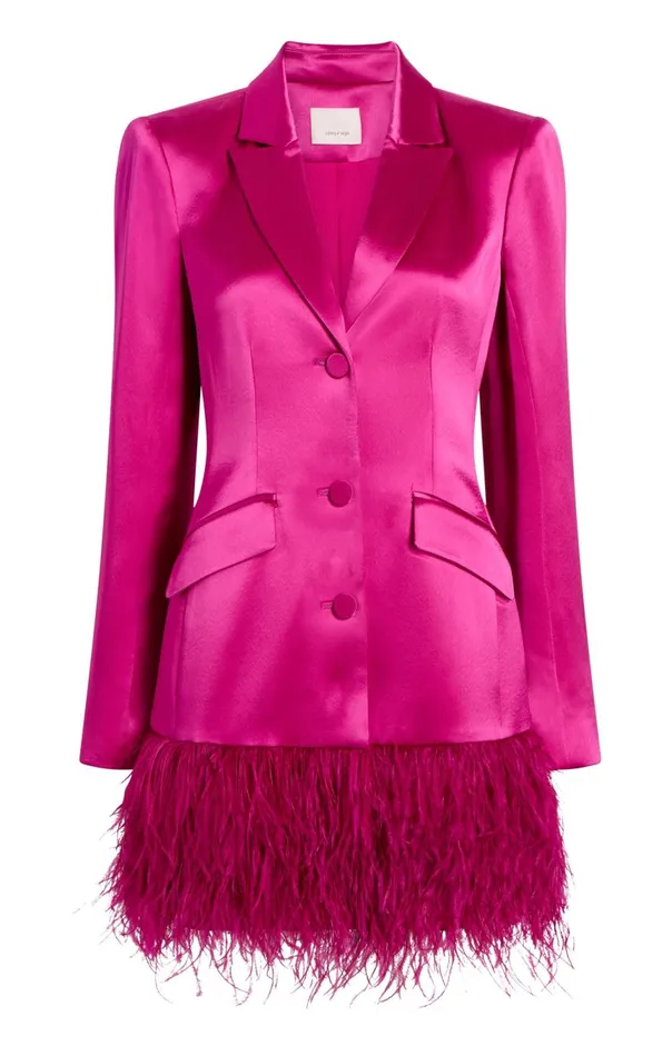 Women Long Sleeeve Feather Joel Dress Plumradish Cinq Sept Mini