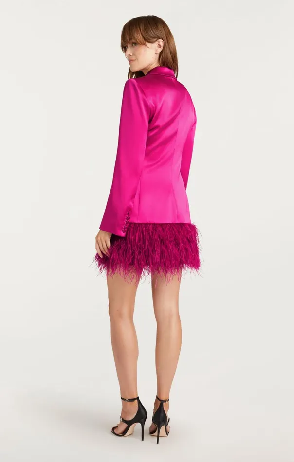 Women Long Sleeeve Feather Joel Dress Plumradish Cinq Sept Mini