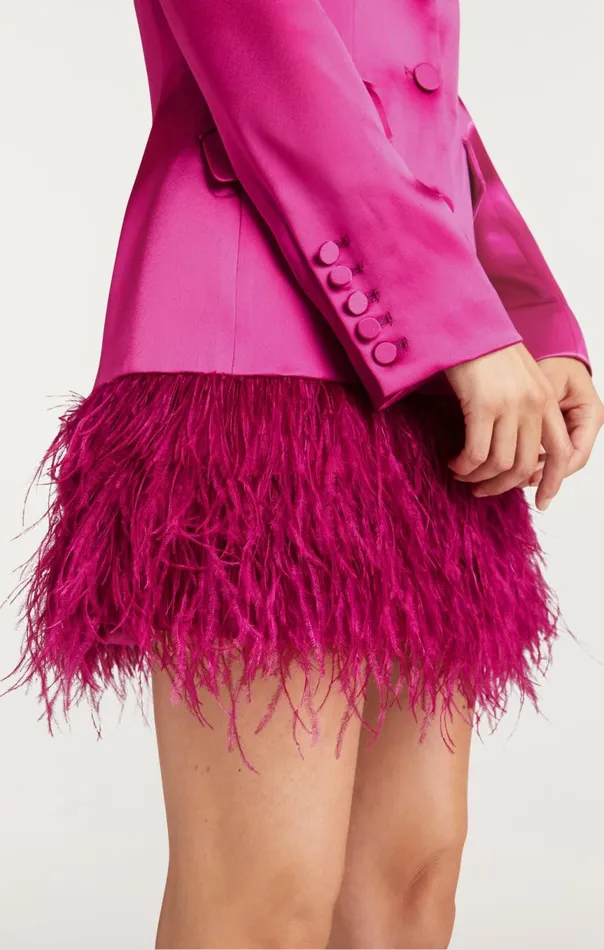 Women Long Sleeeve Feather Joel Dress Plumradish Cinq Sept Mini