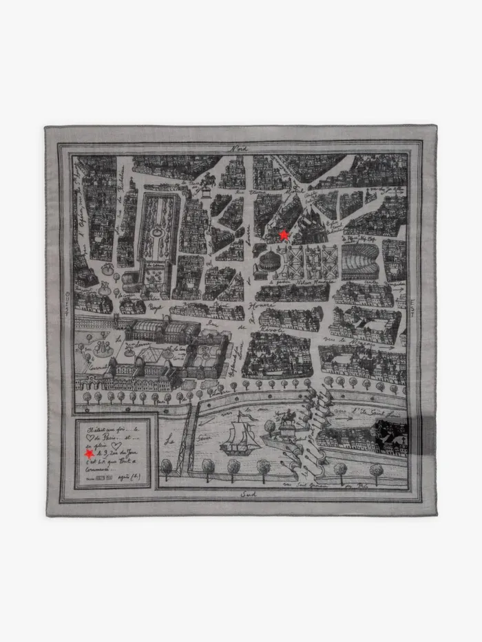 WomenMen Agns B Scarves Grey Rue Du Jour Scarf