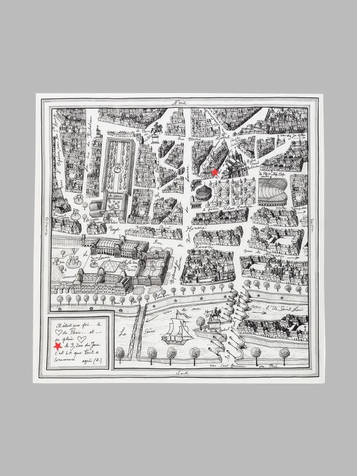 WomenMen Agns B Scarves Rue Du Jour Silk Square Scarf
