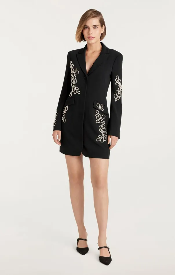 Women Rhinestone Paisley Long Sleeve Joel Dress Black Cinq Sept Cocktail and Evening