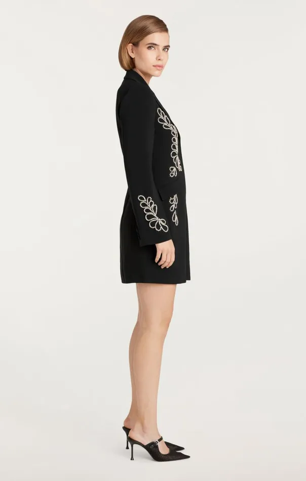 Women Rhinestone Paisley Long Sleeve Joel Dress Black Cinq Sept Cocktail and Evening