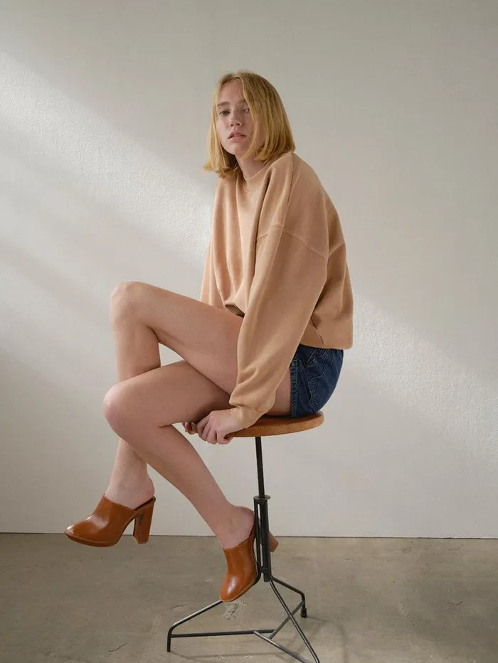 Women Sweaters FRAME Classic Crew Sweatshirt 8212 Blush